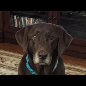 Meet your Posher, Matthew